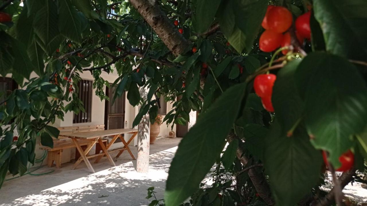 Villatzer - Traditional House With Fireplace And Garden Tzermiadon Exterior photo